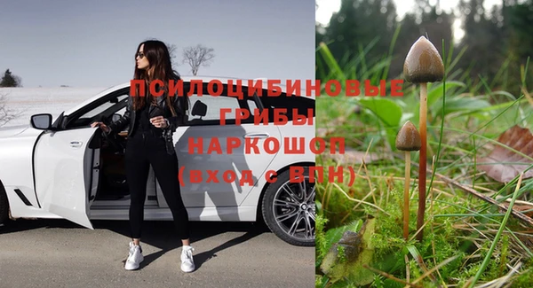 ALPHA PVP Алексеевка